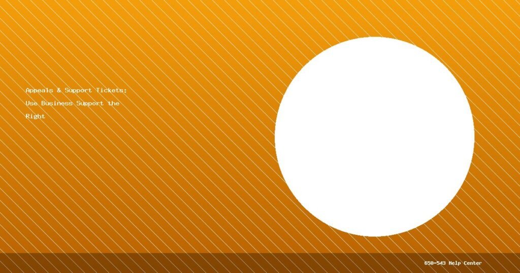 Appeals & Support Tickets: Use Business Support the Right Way (2025 Guide)